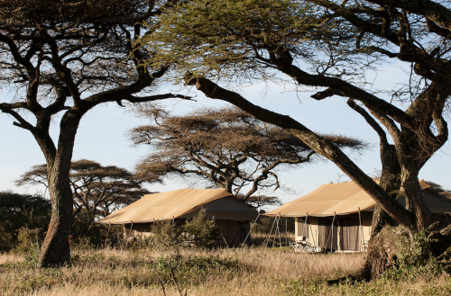 Tanzania Safari Accommodatie