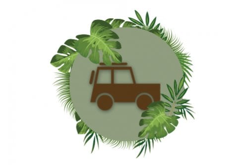 Prive safari en jeep